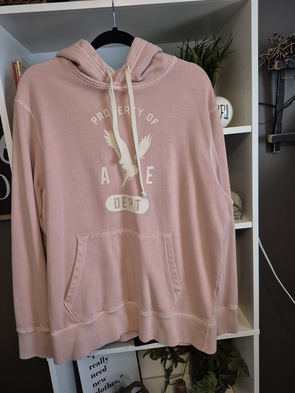 Pink Graphic Hooded Sweatshirt American Eagle Brand